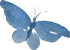 butterfly_16 butterfly_16
