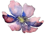 single bloom single bloom